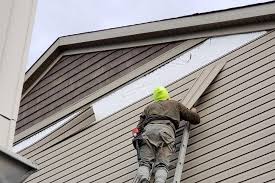 Best Custom Siding Design  in Denmark, WI